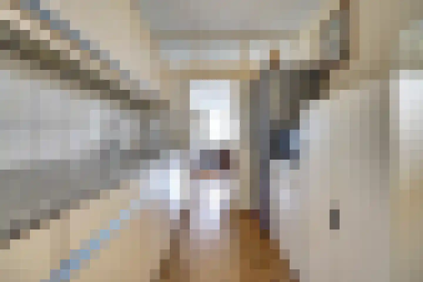 Visserskreek 50 Spijkenisse thumbnail 6