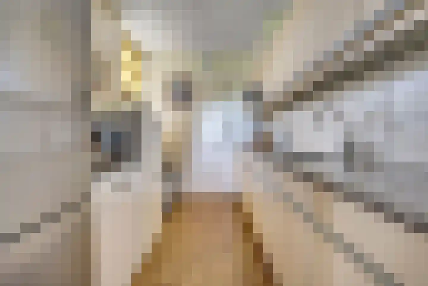 Visserskreek 50 Spijkenisse thumbnail 7