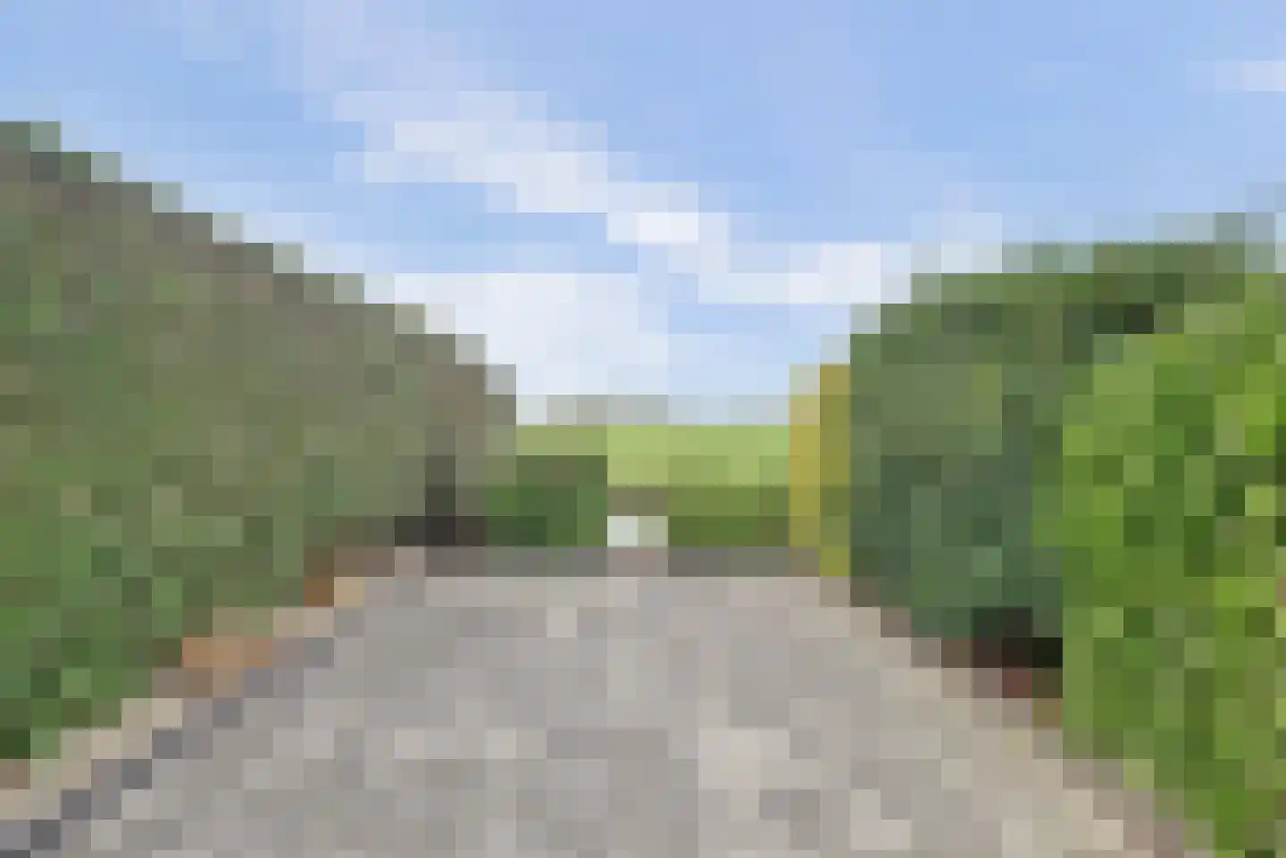 Visserskreek 50 Spijkenisse thumbnail 9