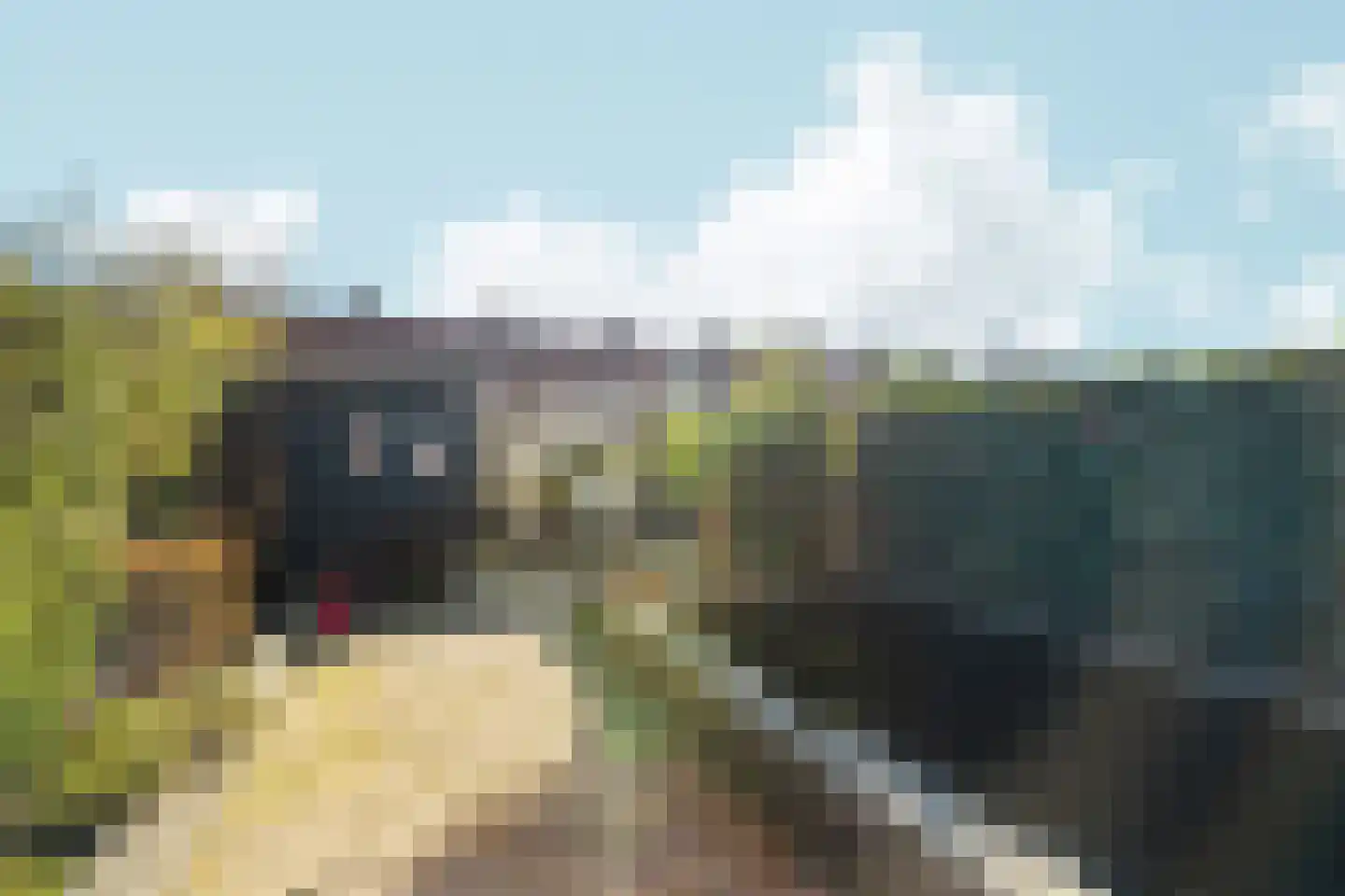 Visserslaan 23 Arnhem thumbnail 35
