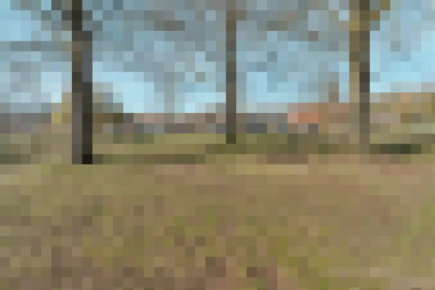 Visserslaan 23 Arnhem thumbnail 52