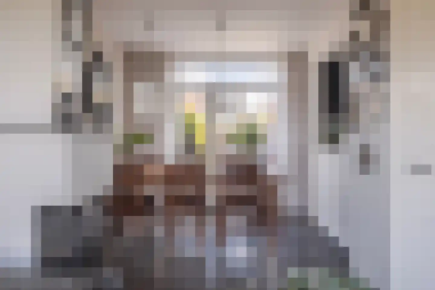 Visserslaan 35 Arnhem thumbnail 15