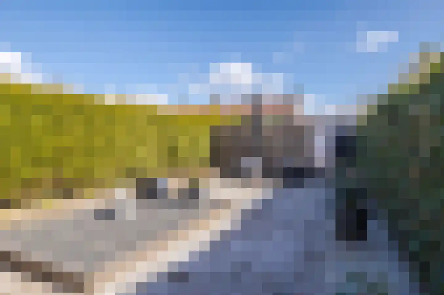 Visserslaan 35 Arnhem thumbnail 31