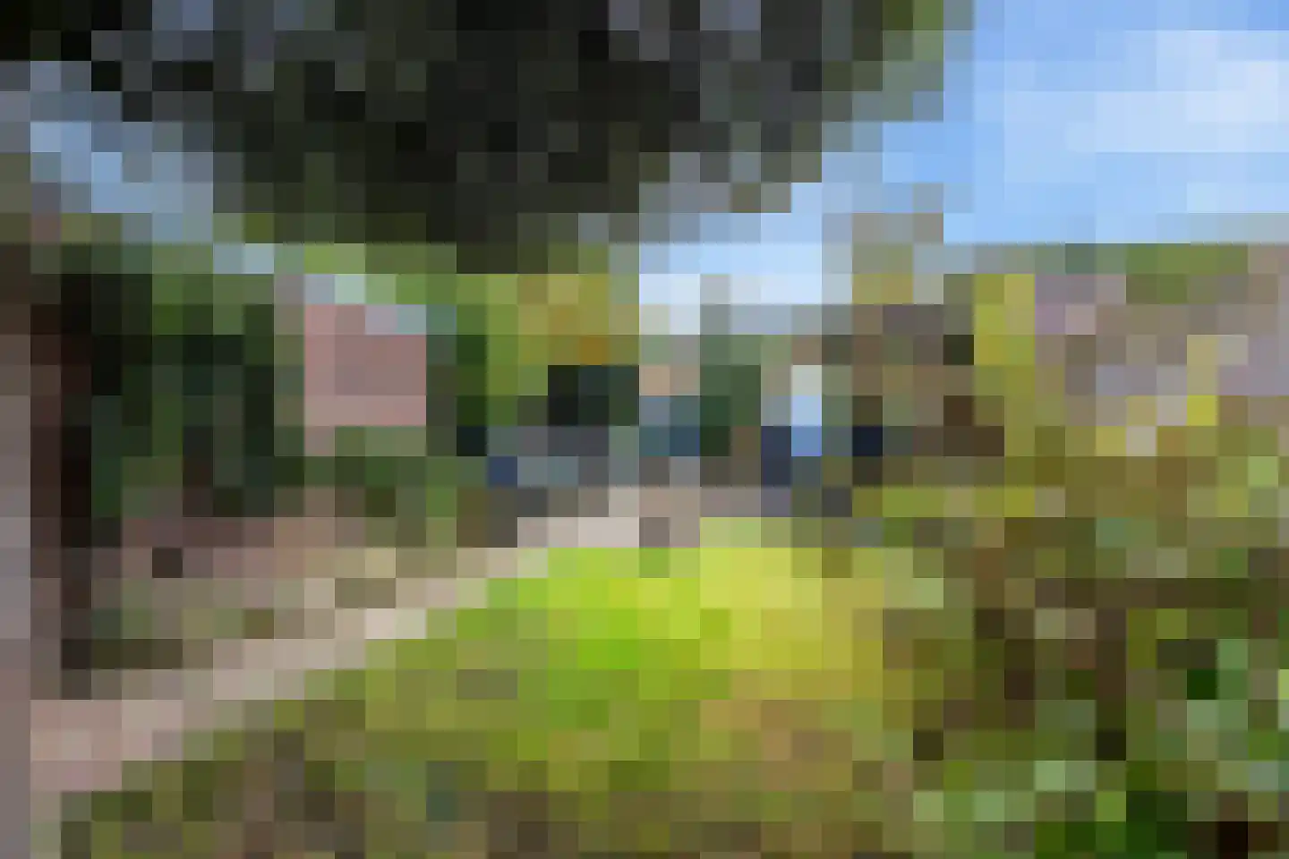 Visserslaan 91 Arnhem thumbnail 46