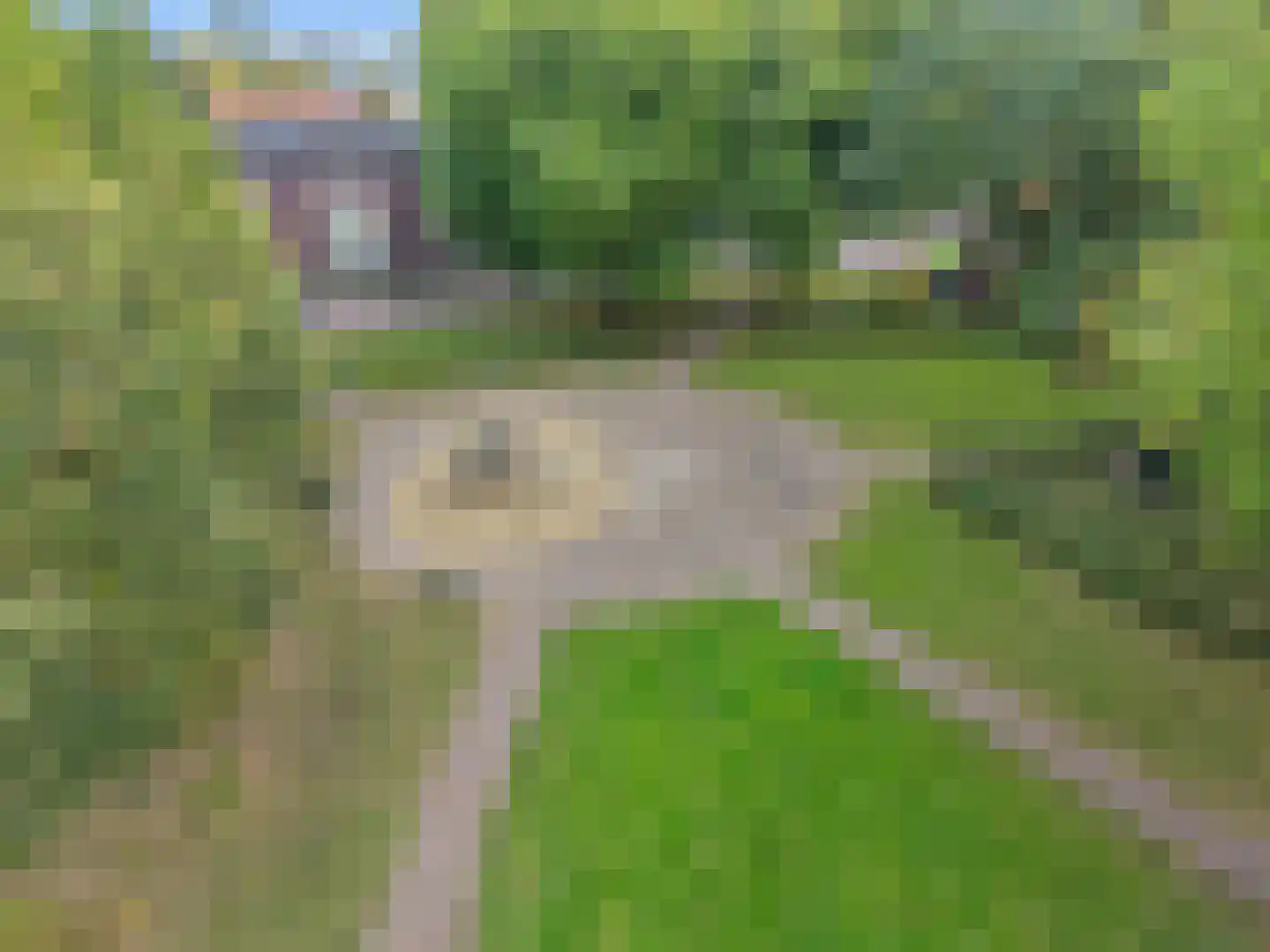 Visserslaan 91 Arnhem thumbnail 57