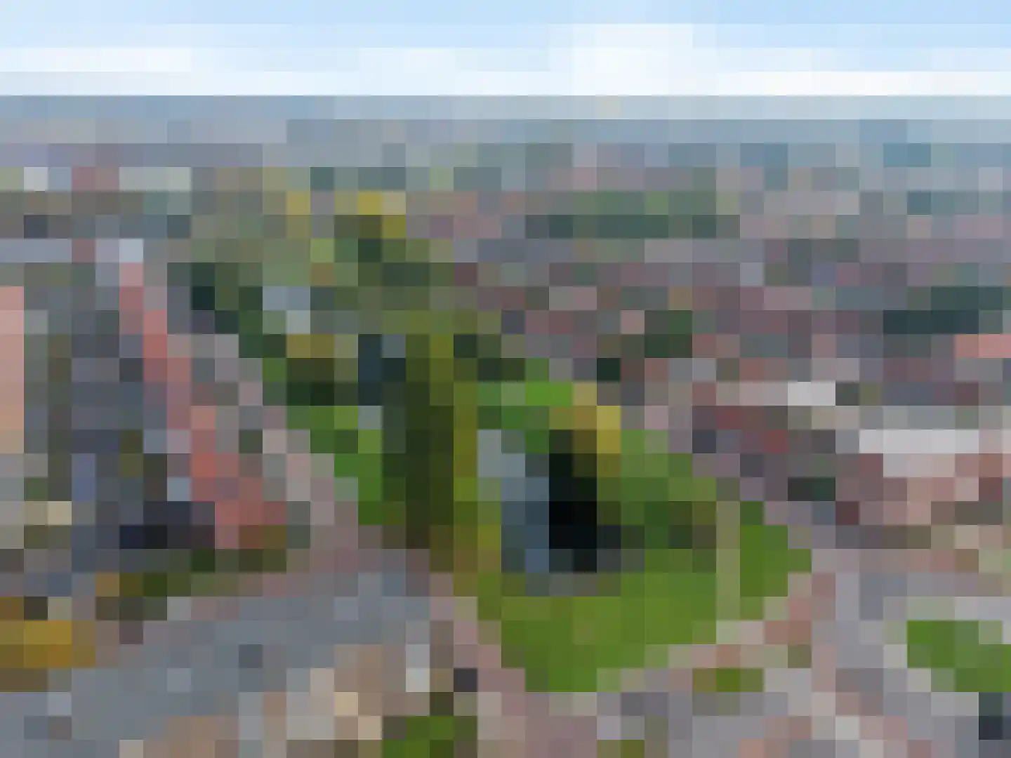Visserslaan 91 Arnhem thumbnail 59