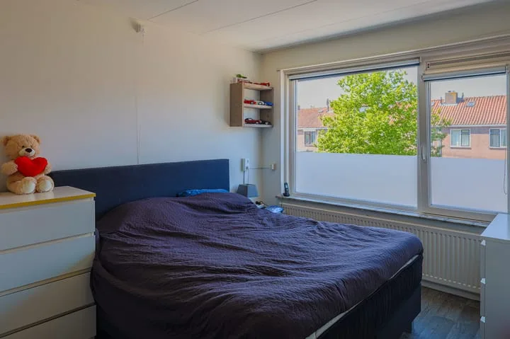 Vissersland 32 Hoornaar thumbnail 13