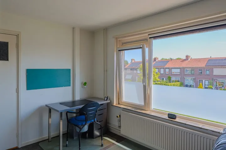Vissersland 32 Hoornaar thumbnail 15
