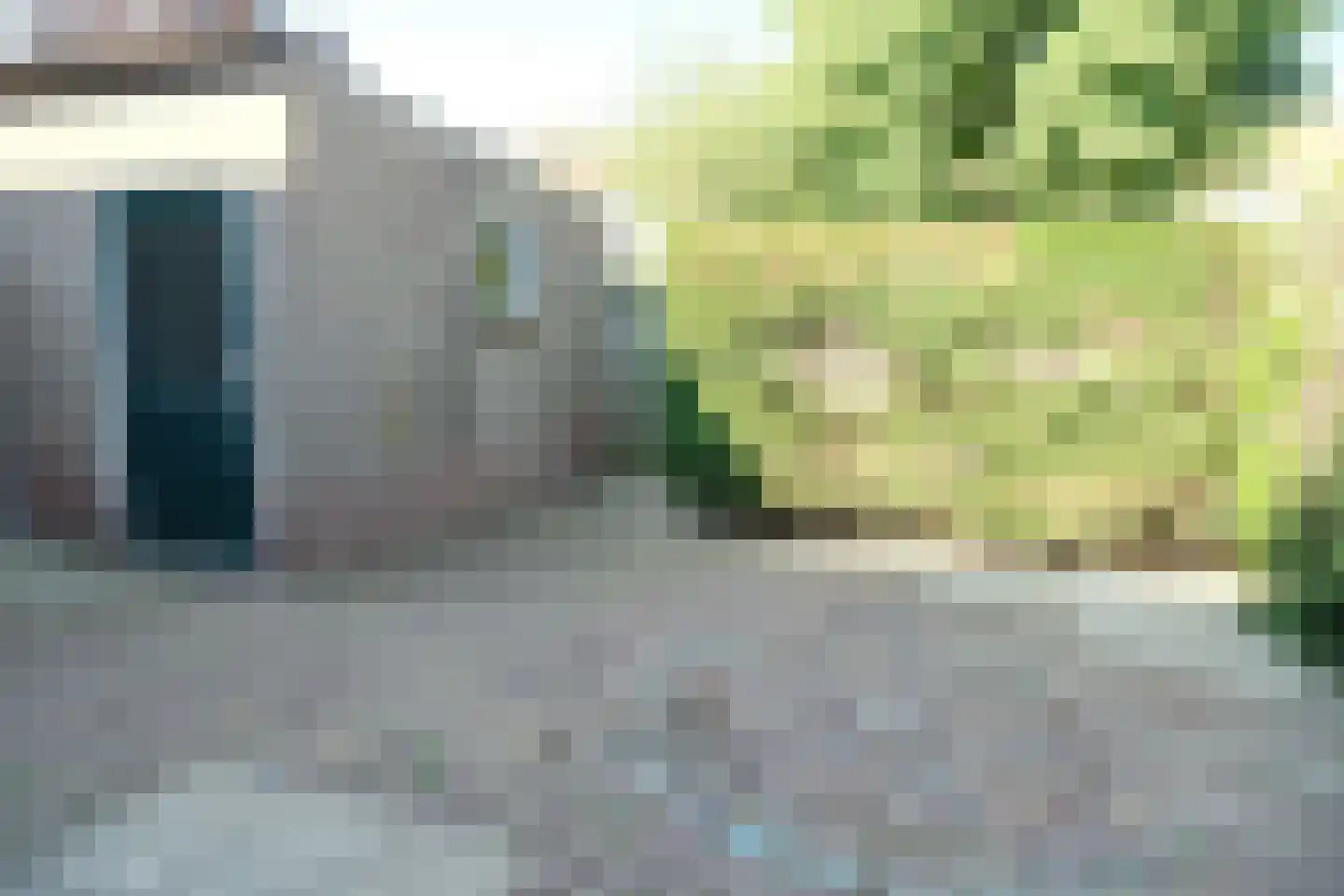 Vissersland 35 Hoornaar thumbnail 12