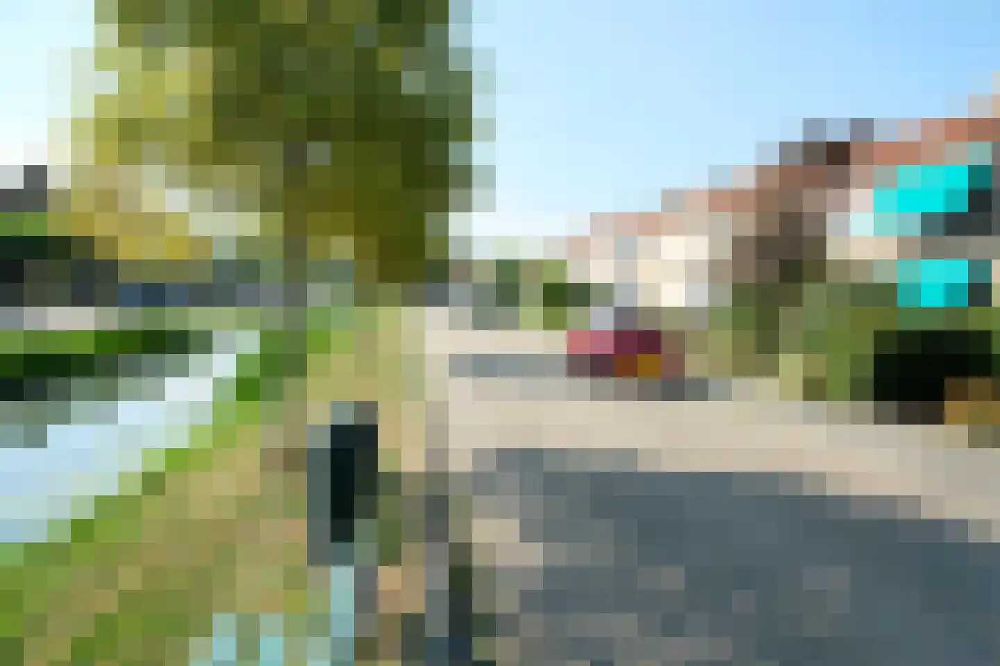 Vissersland 35 Hoornaar thumbnail 13