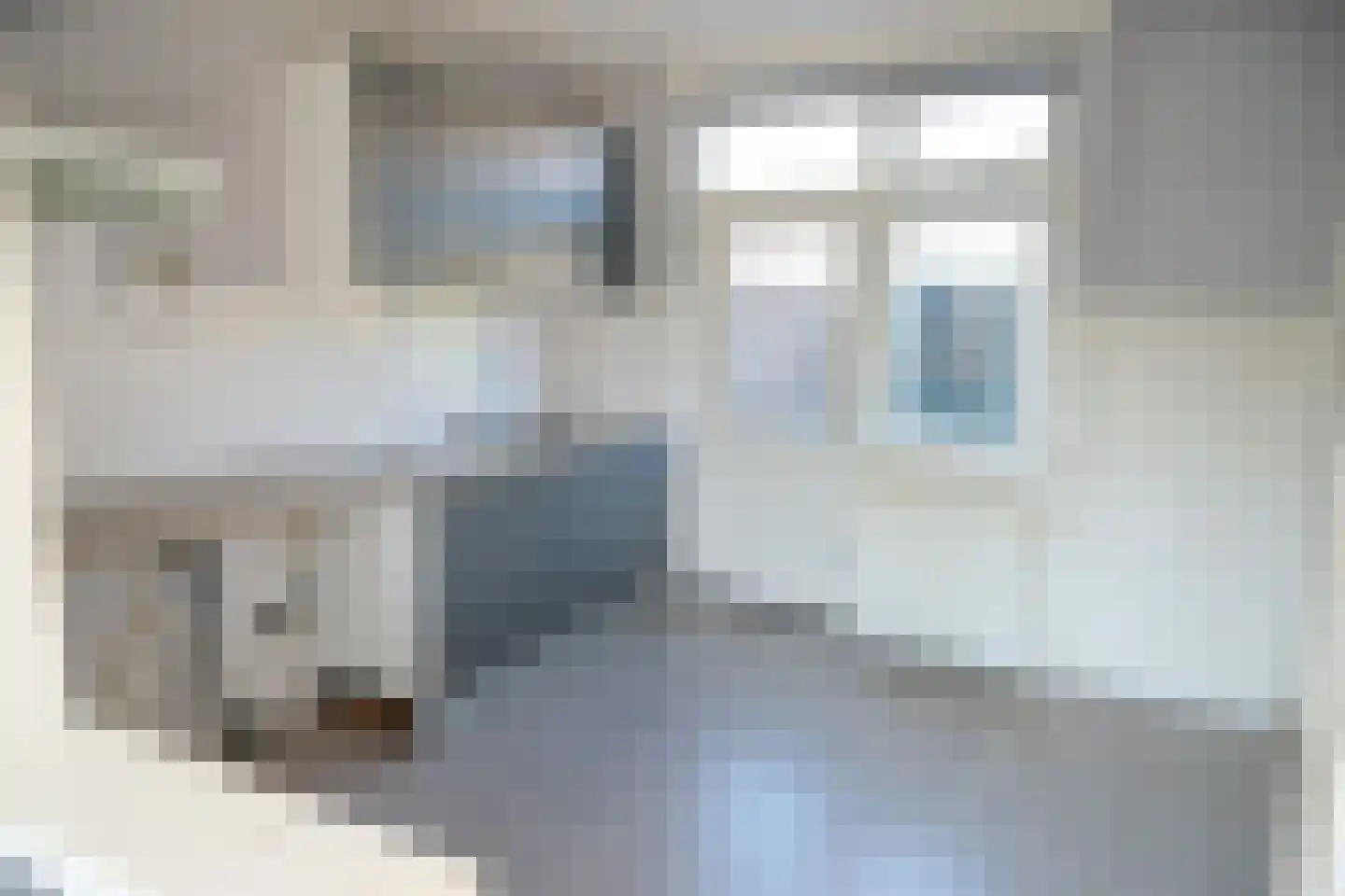 Vissersland 35 Hoornaar thumbnail 4