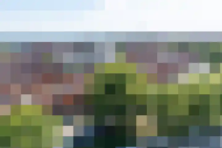Vissersstraat 100 Volendam thumbnail 5