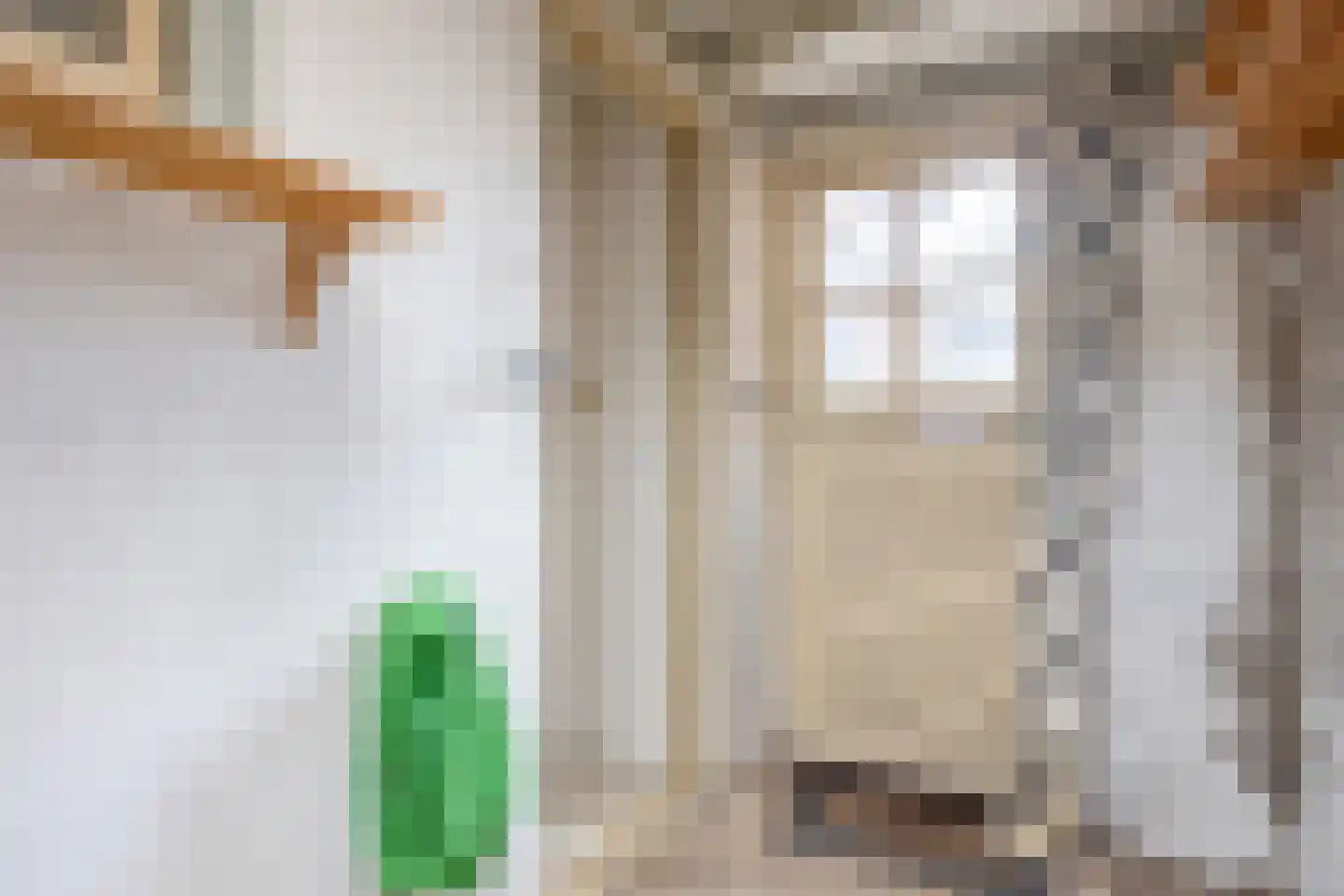 Vissersstraat 14 Zoutkamp thumbnail 17