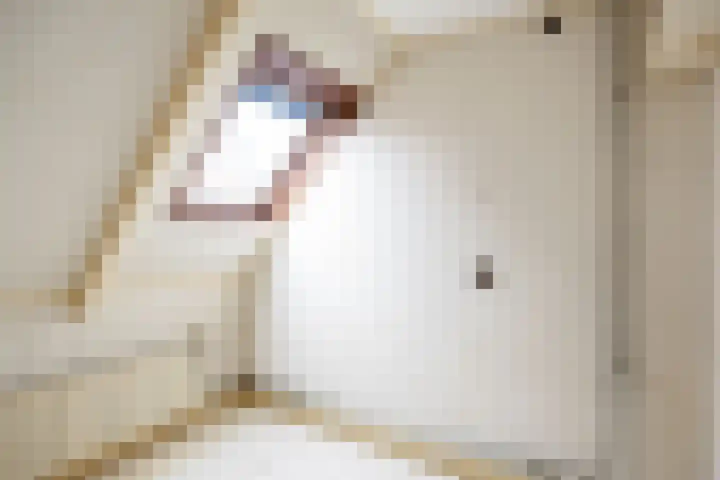 Vissersstraat 14 Zoutkamp thumbnail 21