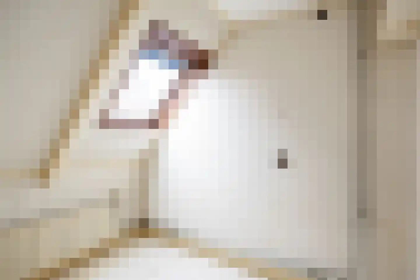 Vissersstraat 14 Zoutkamp thumbnail 22