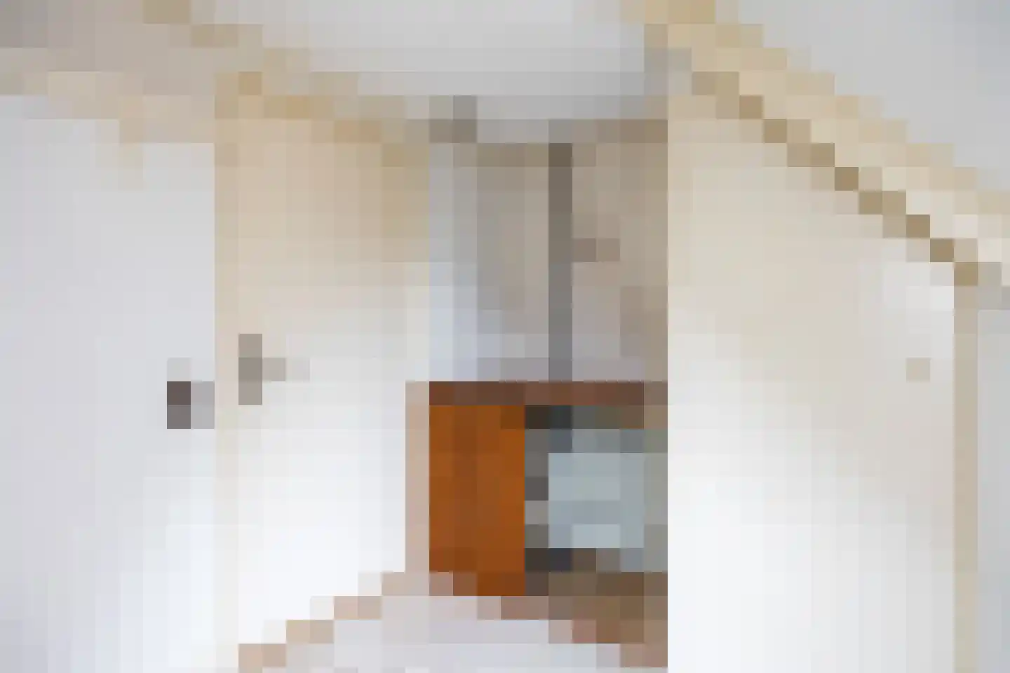 Vissersstraat 14 Zoutkamp thumbnail 23