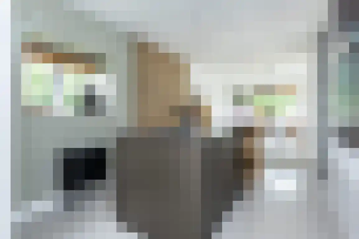 Vissersstraat 17 Ouddorp thumbnail 12