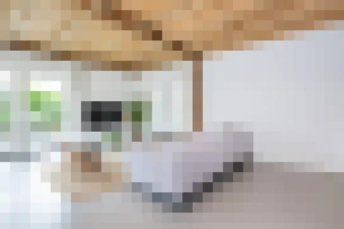 Vissersstraat 17 Ouddorp thumbnail 25