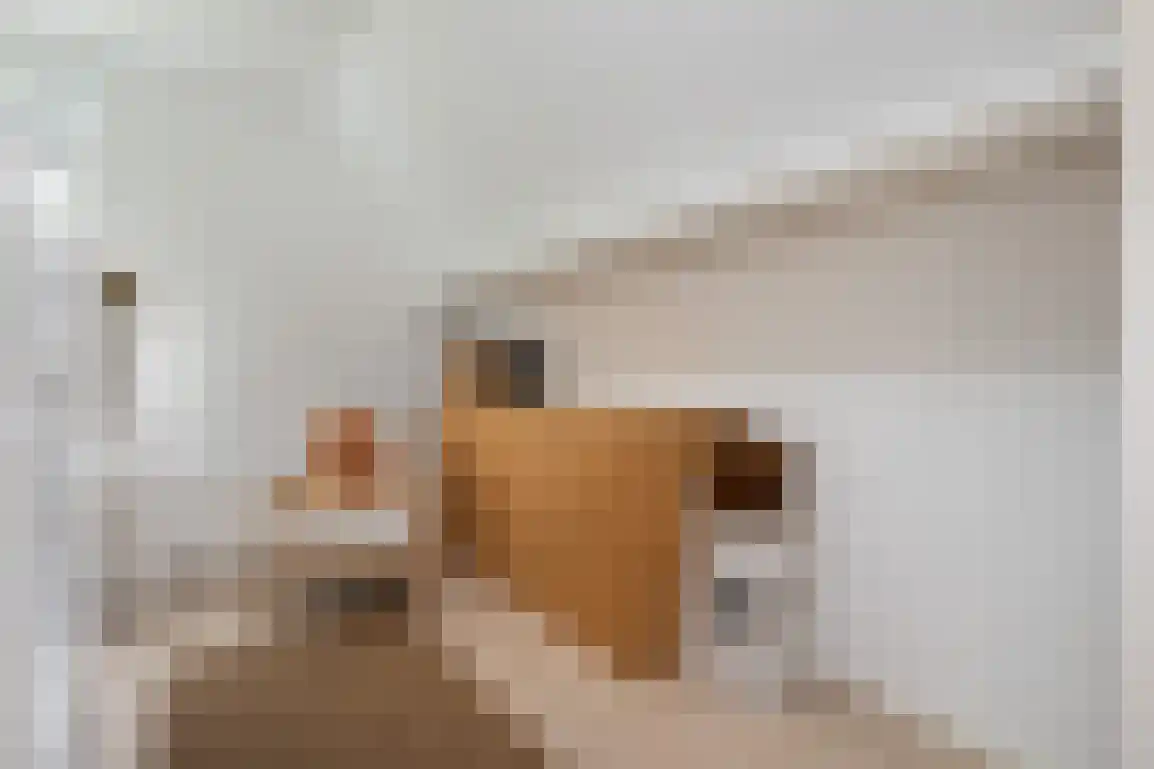 Vissersstraat 17 Ouddorp thumbnail 38