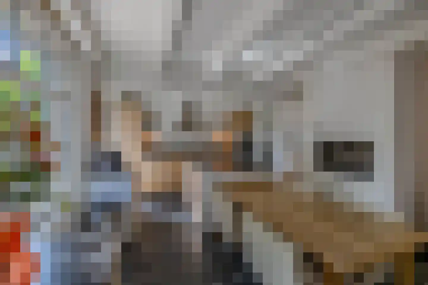 Vissersstraat 18 Huizen thumbnail 18