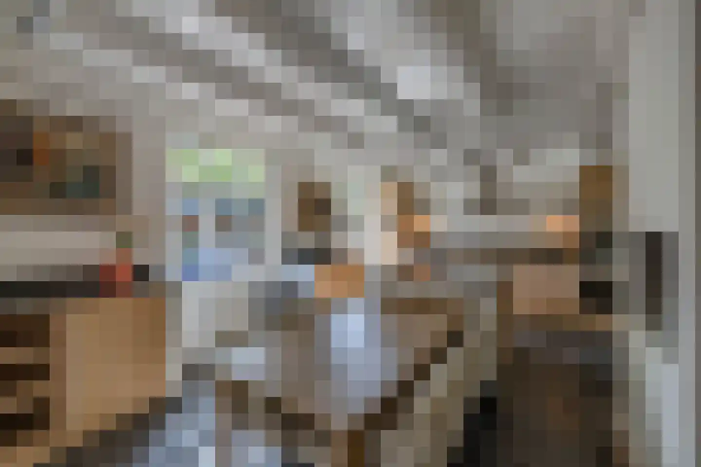 Vissersstraat 18 Huizen thumbnail 19