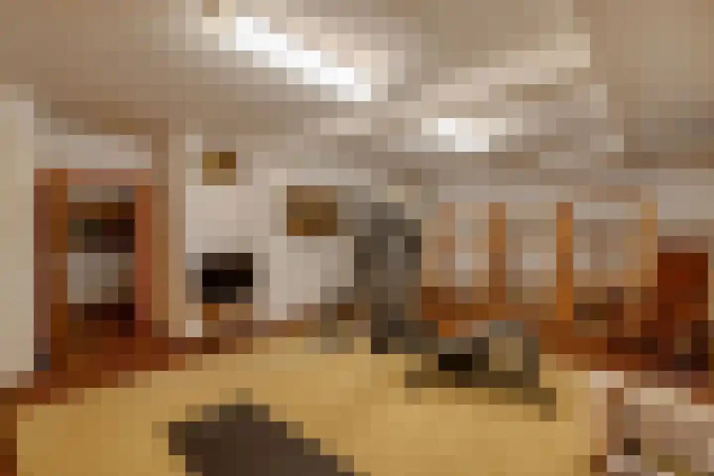 Vissersstraat 18 Huizen thumbnail 23
