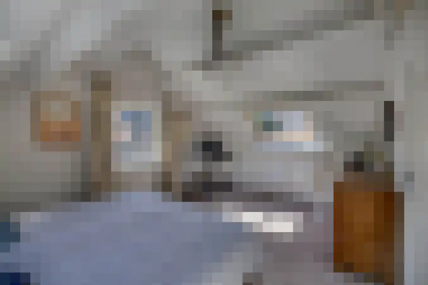 Vissersstraat 18 Huizen thumbnail 36