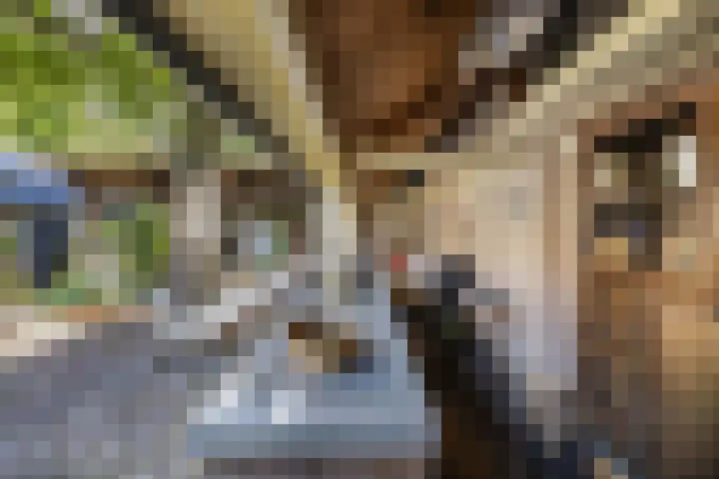 Vissersstraat 18 Huizen thumbnail 42