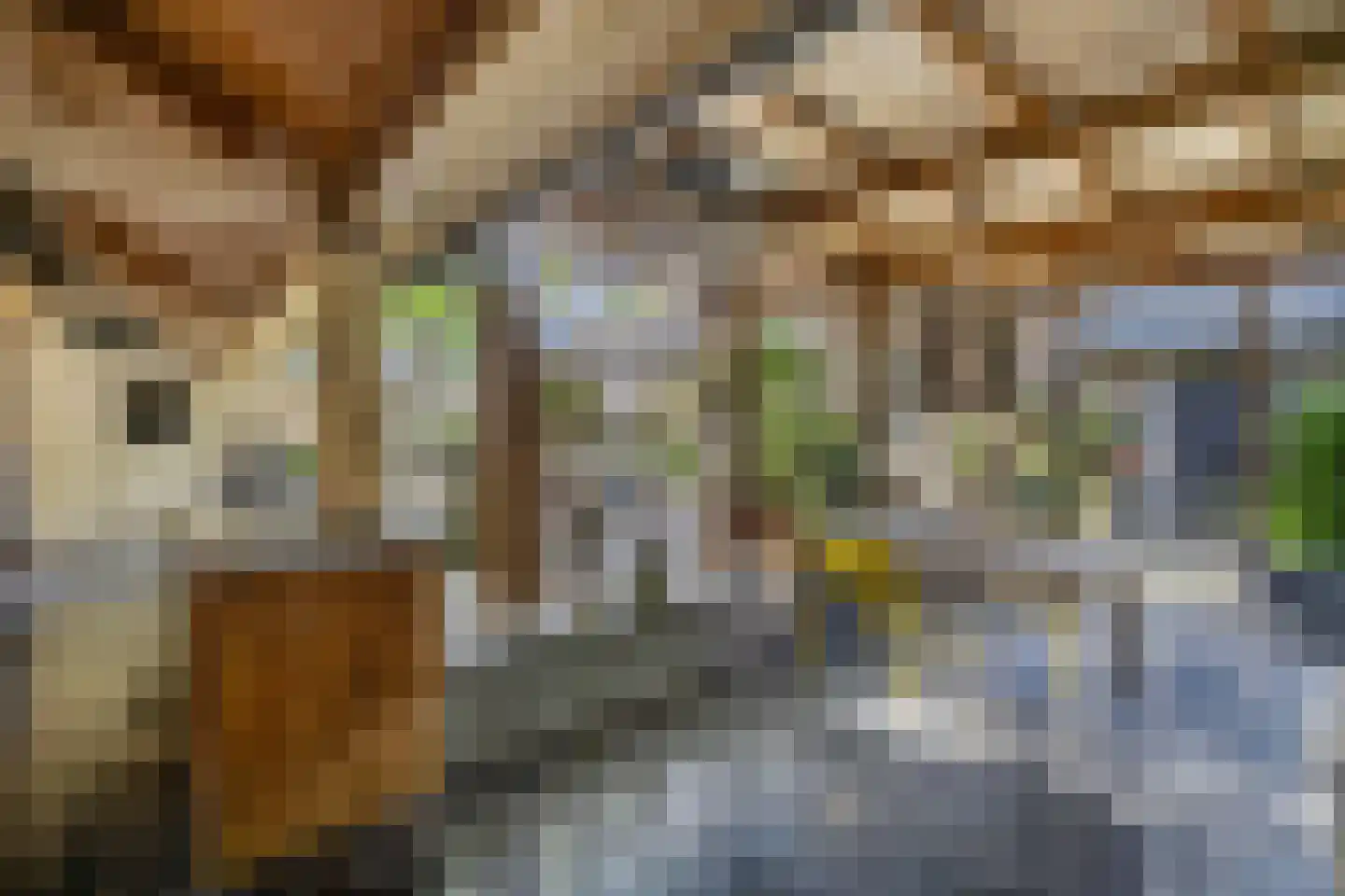 Vissersstraat 18 Huizen thumbnail 43