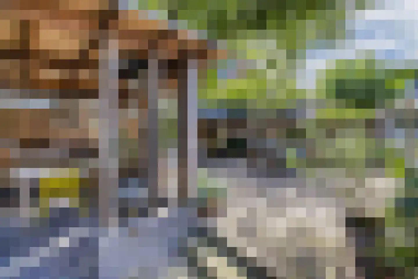 Vissersstraat 18 Huizen thumbnail 44