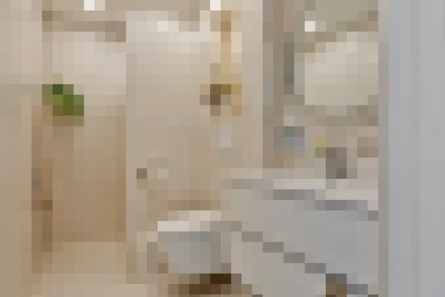 Vissersstraat 2 Eersel thumbnail 21