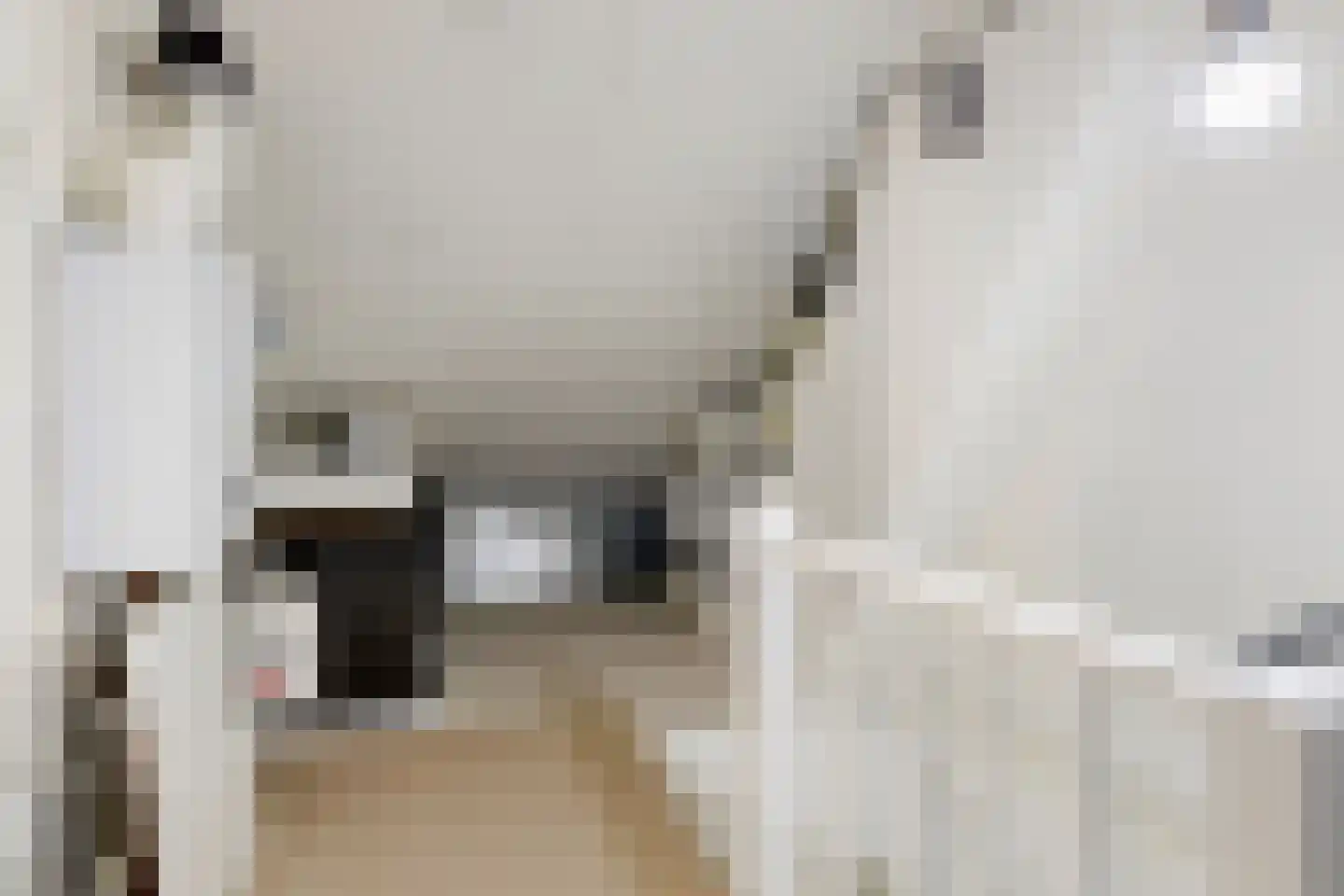 Vissersstraat 2 Eersel thumbnail 29