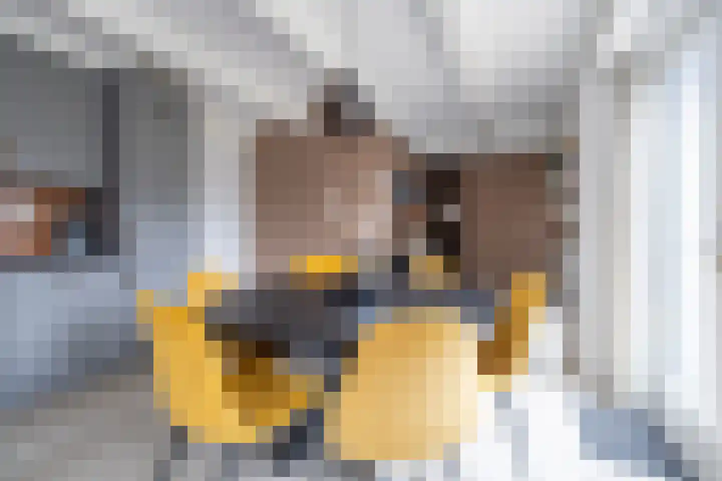 Vissersstraat 4 Zoutkamp thumbnail 15
