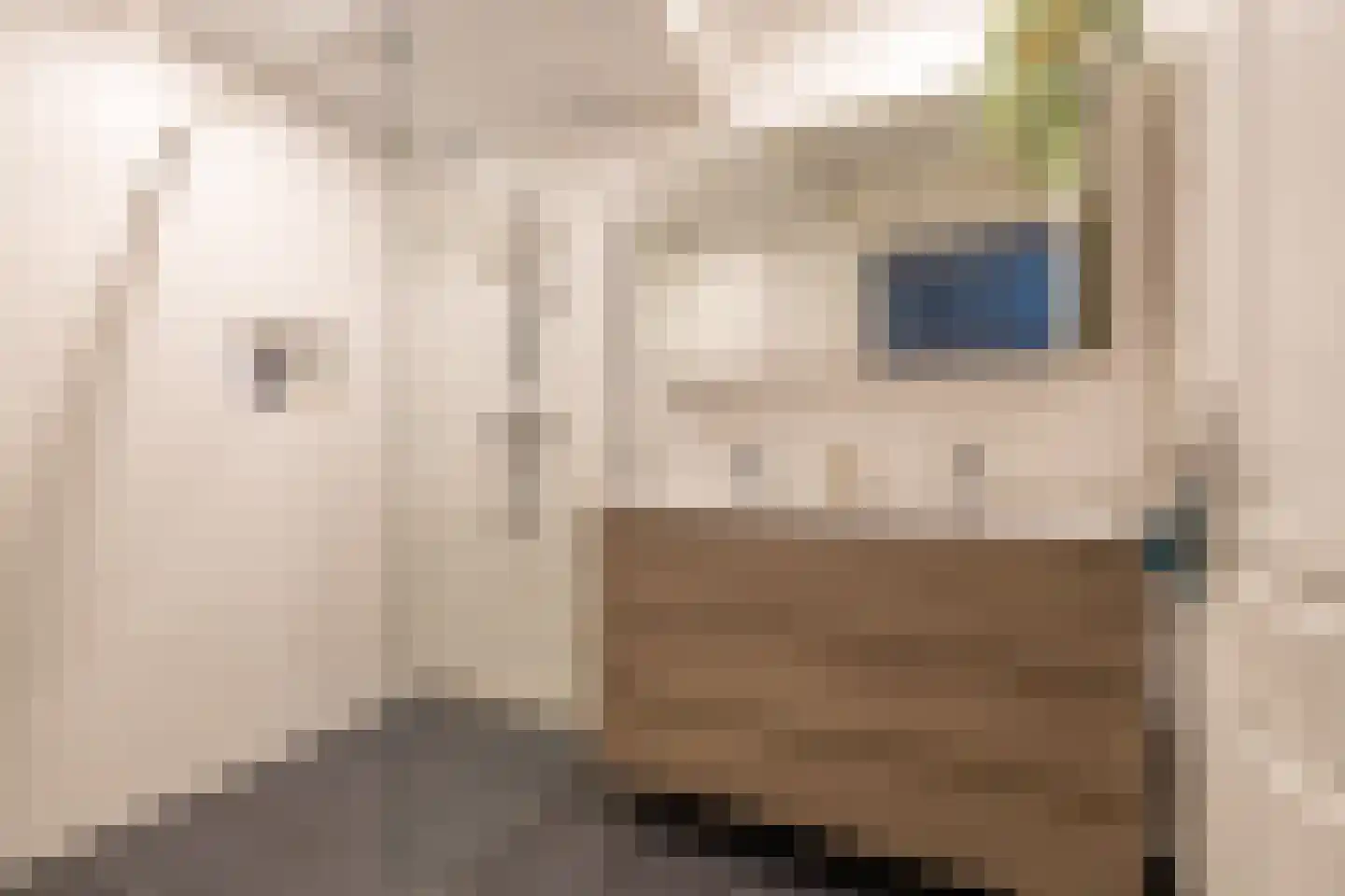 Vissersstraat 4 Zoutkamp thumbnail 23
