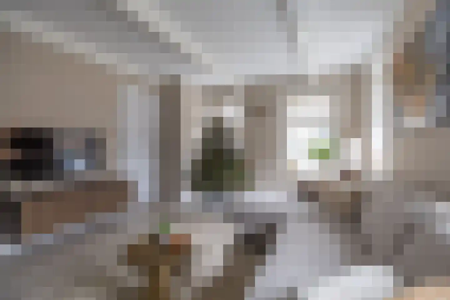 Vissersstraat 4 Zoutkamp thumbnail 26