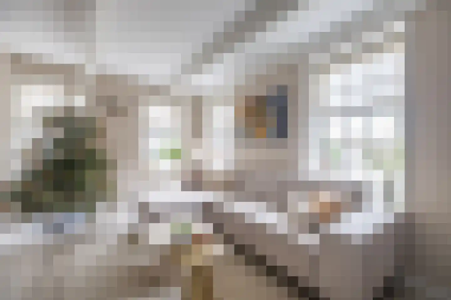 Vissersstraat 4 Zoutkamp thumbnail 27