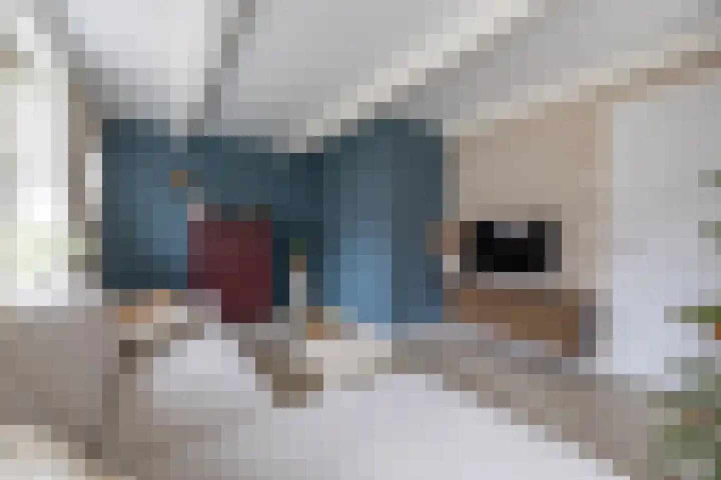 Vissersstraat 4 Zoutkamp thumbnail 28