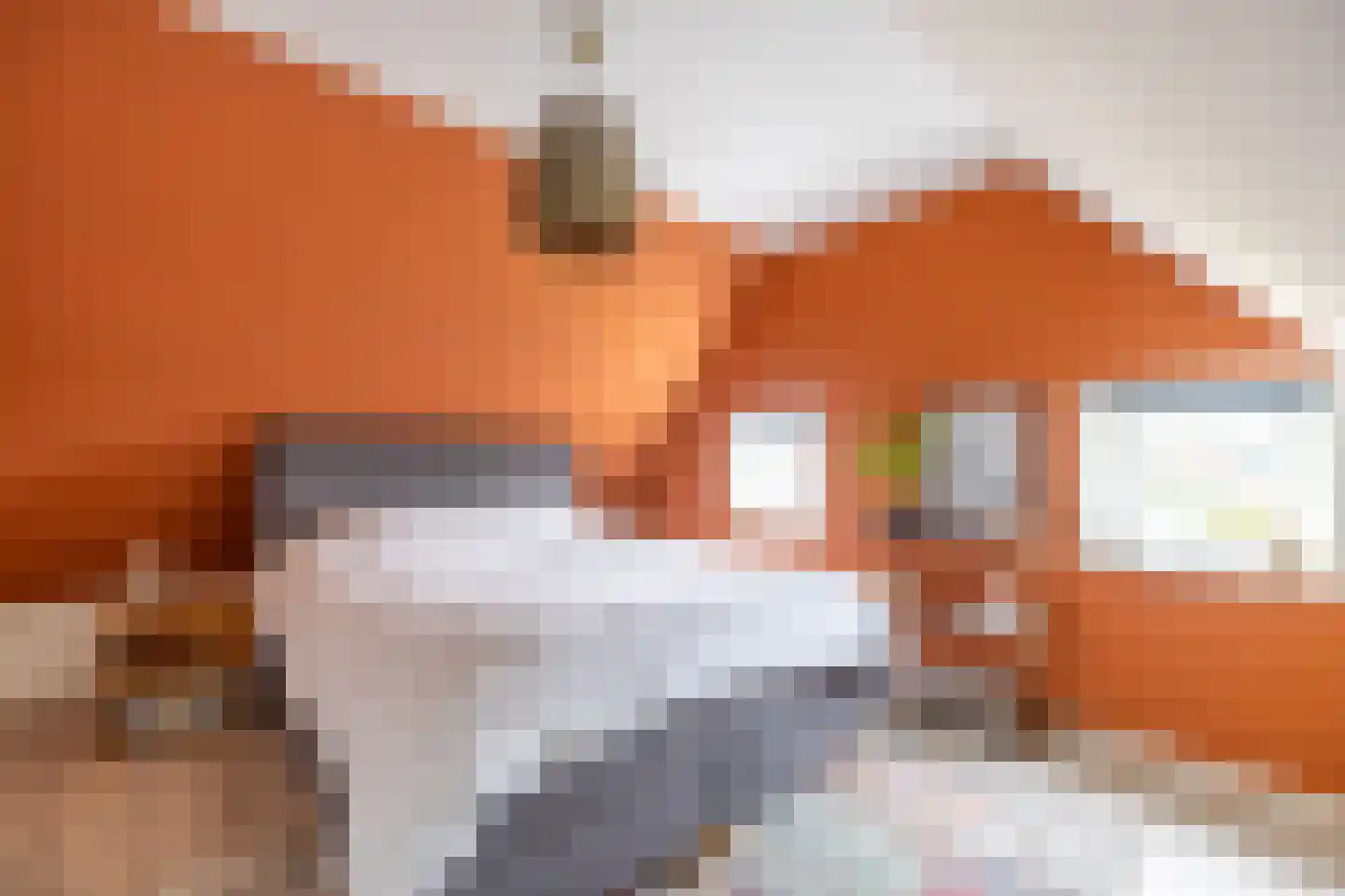 Vissersstraat 4 Zoutkamp thumbnail 42