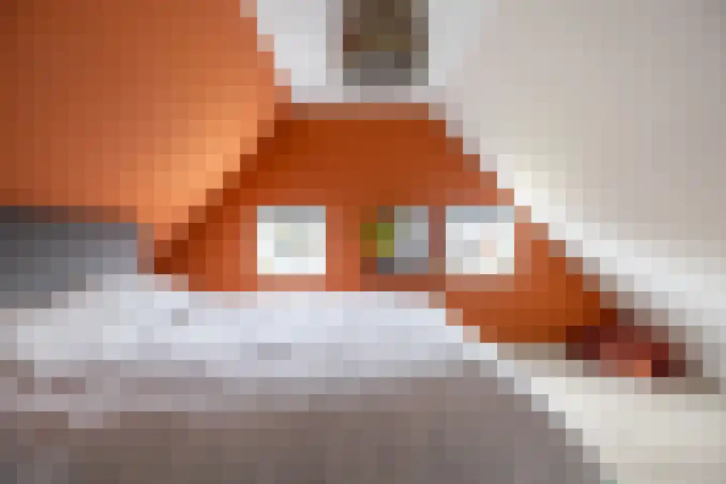 Vissersstraat 4 Zoutkamp thumbnail 43