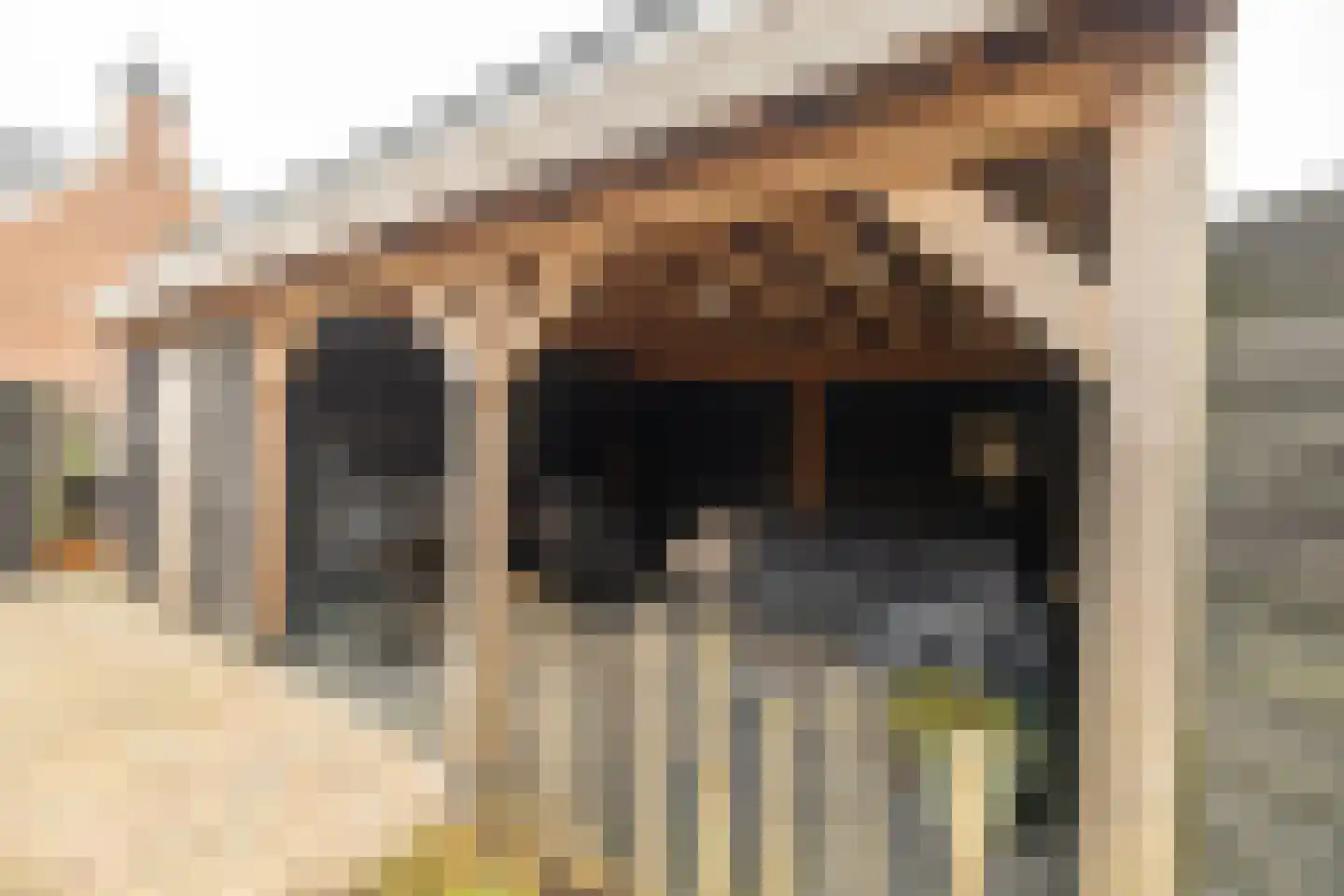Vissersstraat 4 Zoutkamp thumbnail 48
