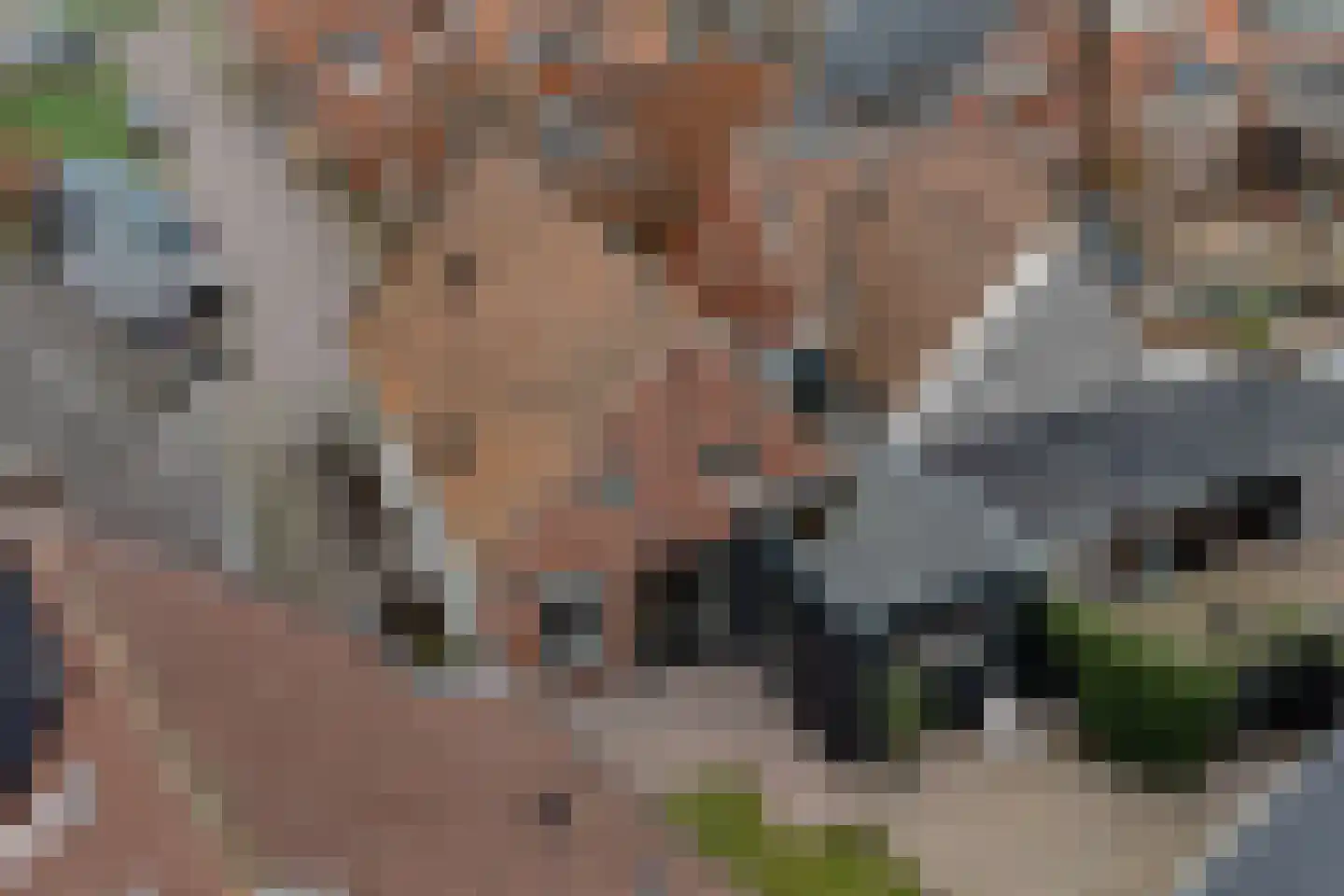 Vissersstraat 4 Zoutkamp thumbnail 49
