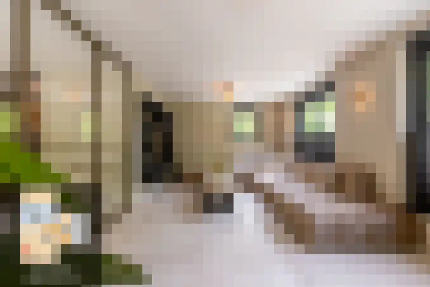 Vissersstraat 5 Ouddorp thumbnail 11