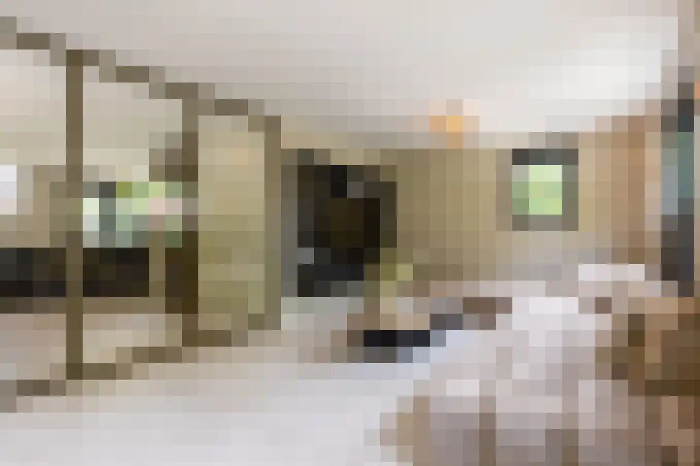 Vissersstraat 5 Ouddorp thumbnail 13
