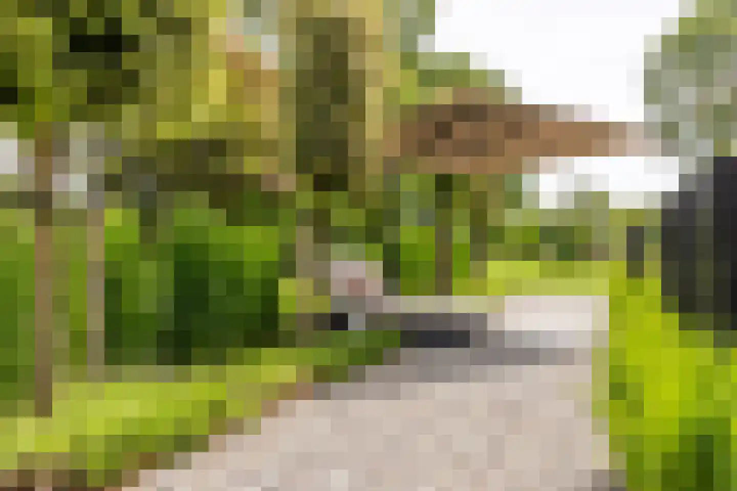 Vissersstraat 5 Ouddorp thumbnail 30