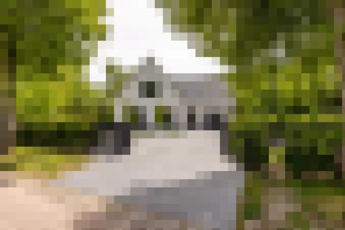 Vissersstraat 5 Ouddorp thumbnail 4