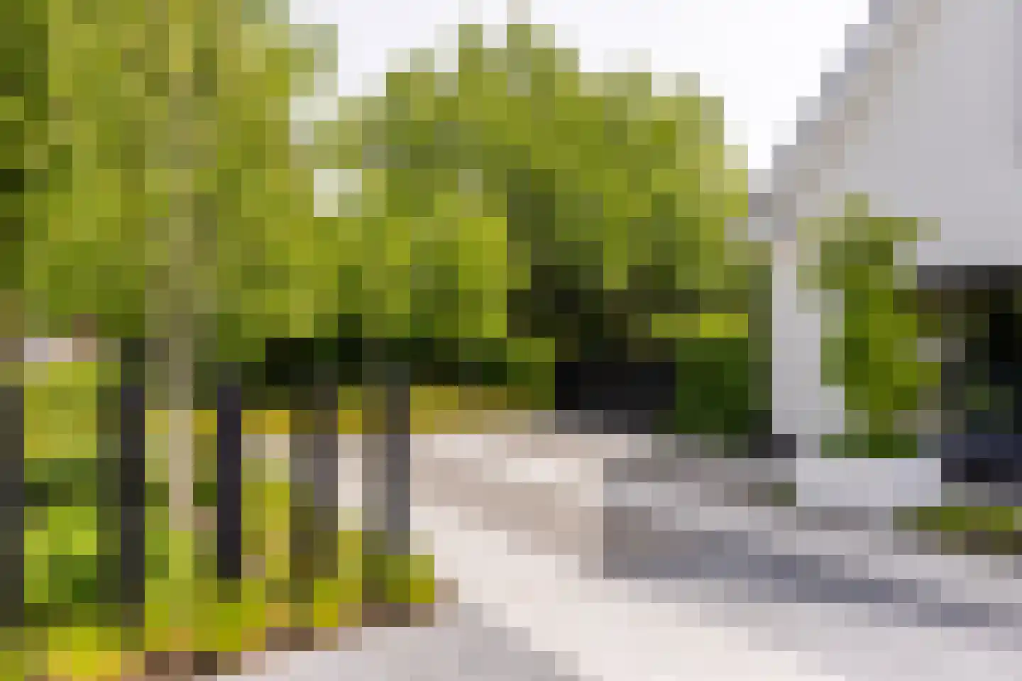 Vissersstraat 5 Ouddorp thumbnail 43