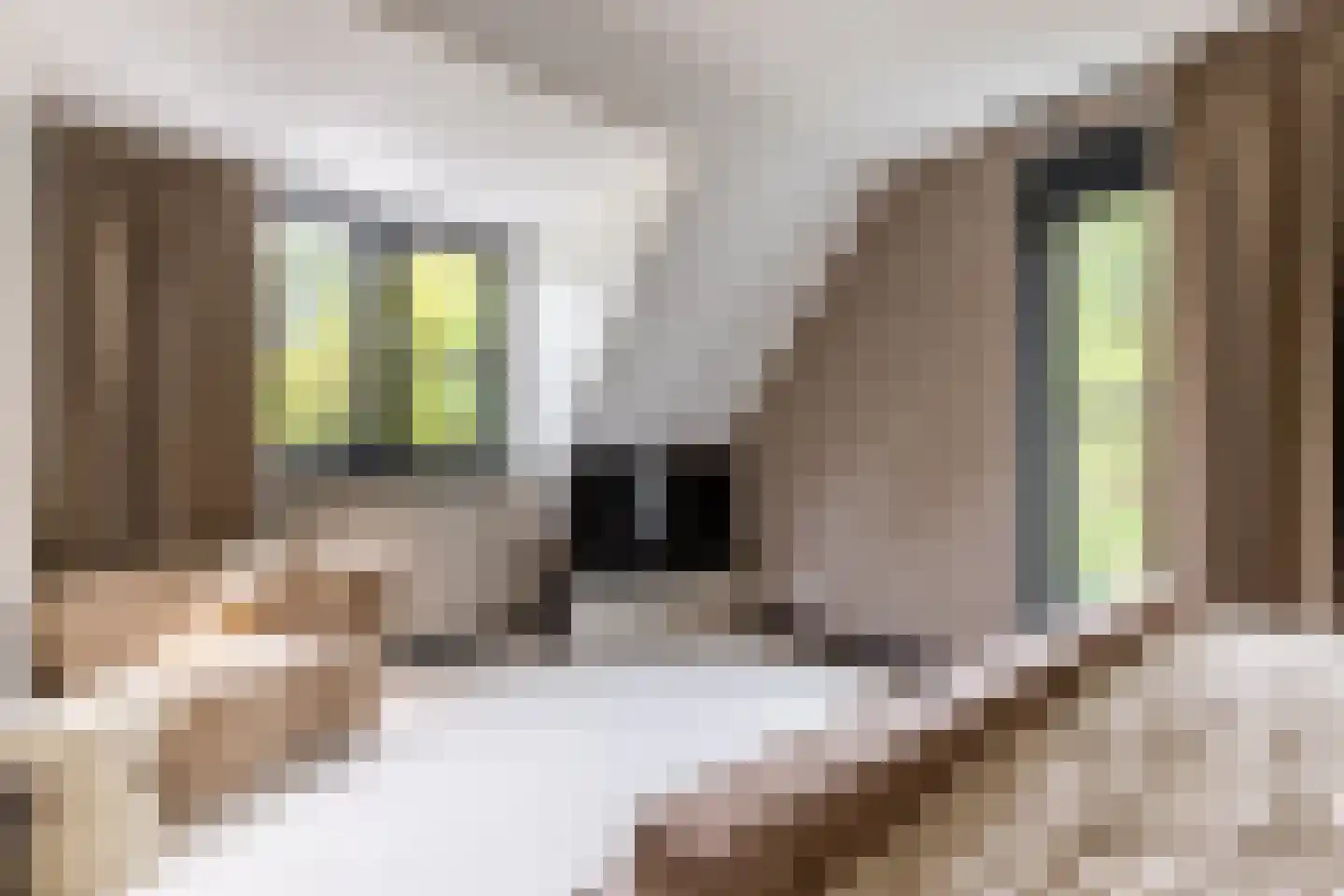 Vissersstraat 5 Ouddorp thumbnail 49