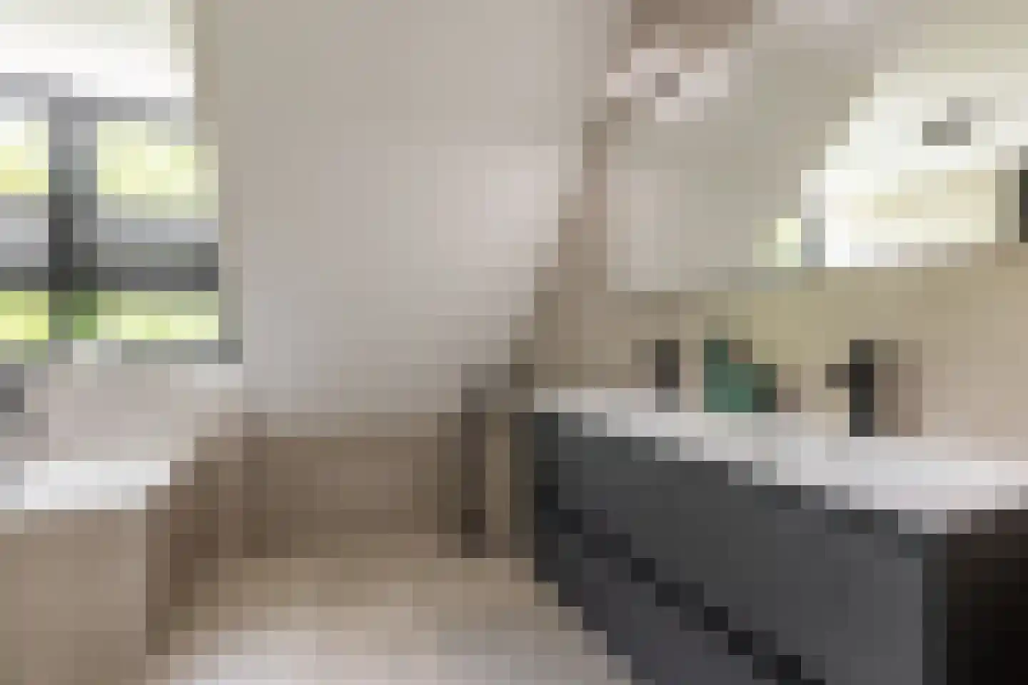 Vissersstraat 5 Ouddorp thumbnail 58