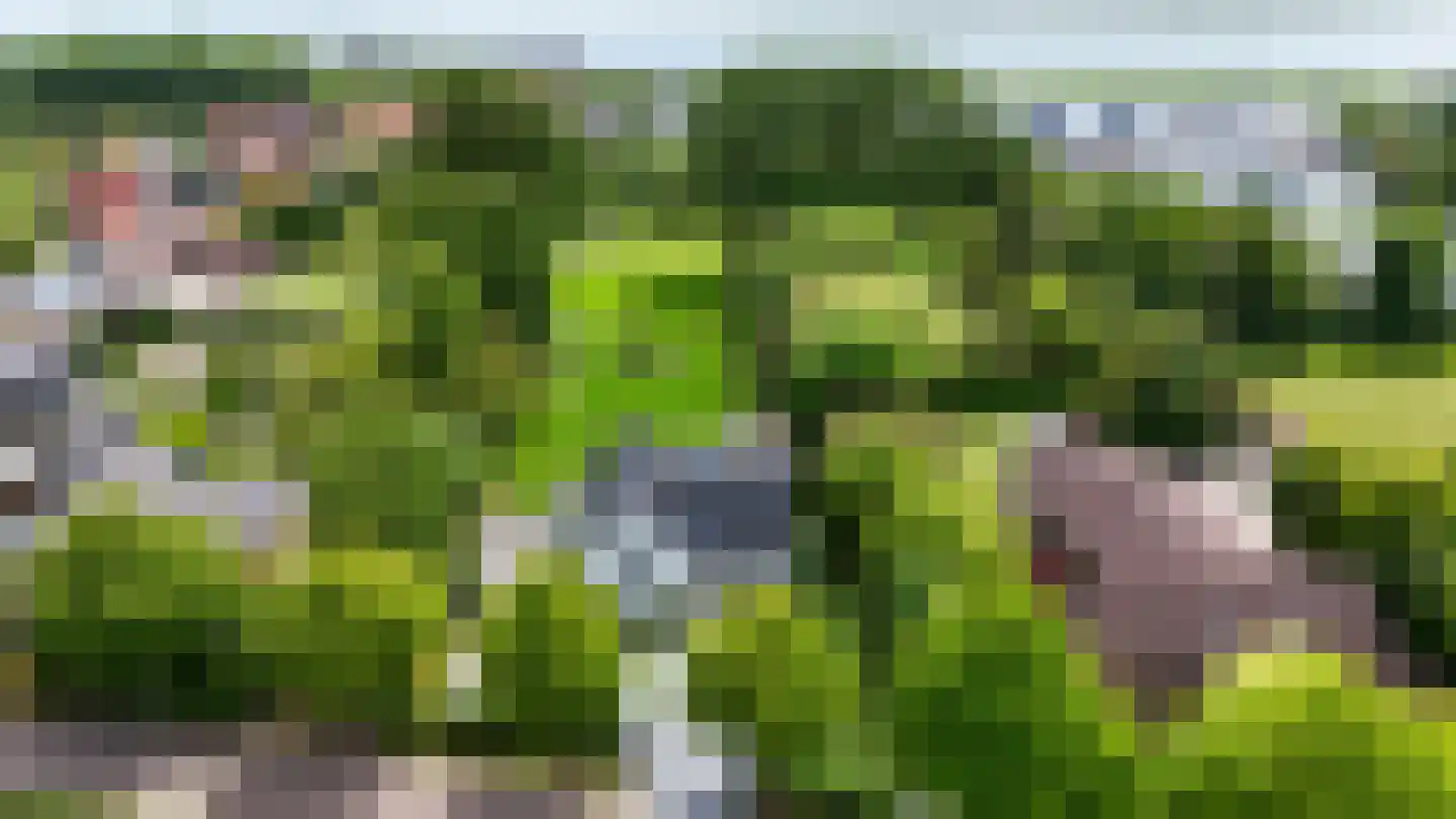 Vissersstraat 5 Ouddorp thumbnail 64