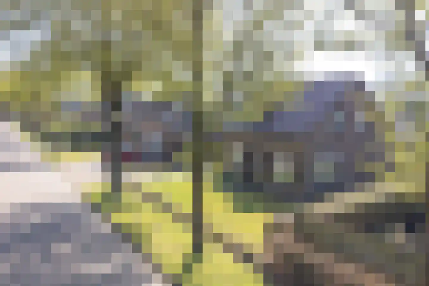 Visserstraat 11 Klijndijk thumbnail 79